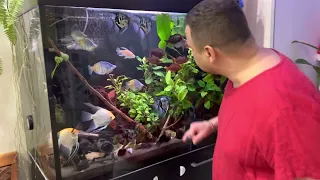 Обзор 400 литрового аквариума