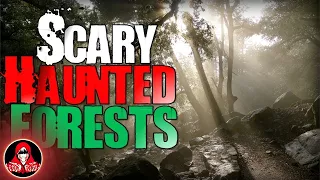 5 REAL Haunted Forest Encounters - Darkness Prevails