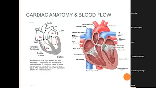 CMR in Diagnosis of Cardiomopathy