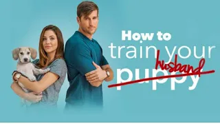 how to train your husband full Hollywood movie in english  || movie dubbed in english