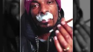 Snoop Dogg ft. Nate Dogg & Ray J - Smoking Smoking Weed