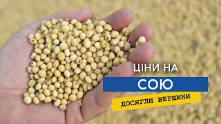 Ціна на сою досягла свого піка, як довго вона ще буде високою?