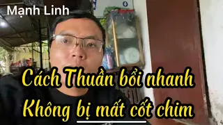 Cách thuần chim nhanh dễ chơi không bị bể chim