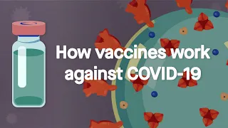 How vaccines work against COVID-19: Science, Simplified