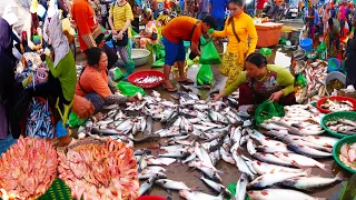 Ever seen largest fish distribution in Phnom Penh Cambodia, Fish market scenes and people activities