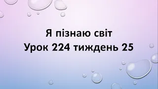 Я пізнаю світ (урок 224 частина 7) 2 клас "Інтелект України"