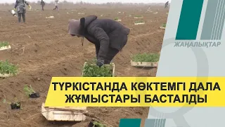 Түркістанда көктемгі дала жұмыстары басталды