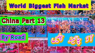 Pakistan to China Bus | Part-13 | Fish Market | Aquarium | China Train | By Road China |