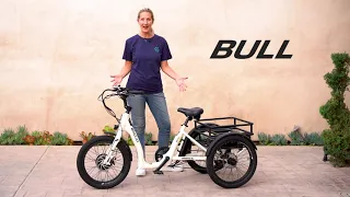 Top Reasons to Fall in Love with Emojo Bull Trikes