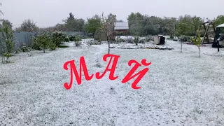 7 МАЯ.  ЗИМА ПРИШЛА❄️. В ТЕПЛИЦЕ ВСЕ ХОРОШО