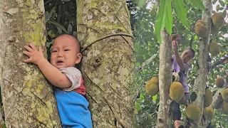 A single mother takes care of her children, cooks, and picks jackfruit to sell at the market