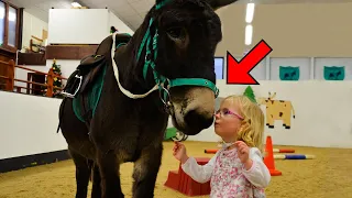 When His Daughter Approached & Hugged this Donkey.. Something Unthinkable Happened