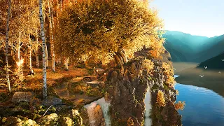 Elven Forest of Lindon Autumn Ambience 🍂🍁 with Nature Sounds & Elven Melodies LOTR Rings of Power