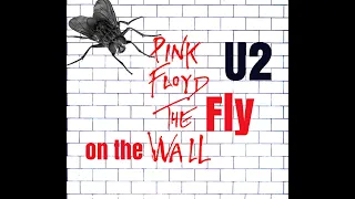 U2 & Pink Floyd The Fly On The Wall Mega Mashup
