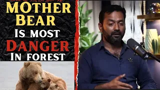 MOTHER BEAR 🐻 IS MOST DANGER ANIMAL IN FOREST | MAJOR VIVEK JACOB | 9&11 PARA SF