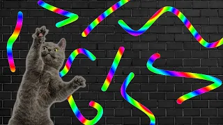 Rainbow String Game for Cats - NEW