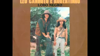 Léo Canhoto & Robertinho - A Gaivota