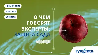 Прямой эфир «О чем говорят эксперты: защита сада»