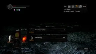 DS1 SL1 Manus Father of the abyss Flawless soul level one challenge