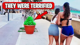 Bushman Prank: Scary Saturday Night in Spain