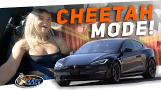Uncle Chet goes Plaid with friends in his Tesla Model S Cheetah Mode!!