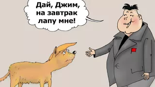 Веселые карикатуры. Выпуск 3