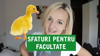 Sfaturi pentru FACULTATE