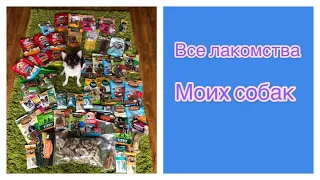 Все Лакомства моих собак 🦊🦊🦊 вторая часть ❤️❤️❤️❤️