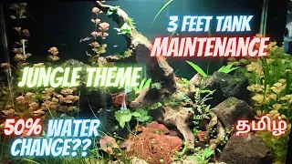 How to maintain a 3 feet planted aquarium in tamil #aquarium #pets #fish #plantedaquarium #aquarium