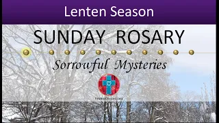 Sunday Rosary • Lent • Sorrowful Mysteries of the Rosary 💜 March 10, 2024 VIRTUAL ROSARY