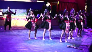 Nouvel an Hmong 2024 à Nimes/ groupe de danse Hlub cim Xeeb