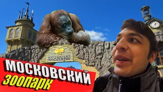 КУДА СХОДИТЬ В МОСКВЕ? Московский зоопарк. Лучший отдых с семьёй.