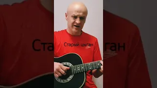 Анатолий Топыркин - "Старый Цыган" #music #гитара #шансон