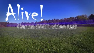 Alive! [Canon 850D video test]