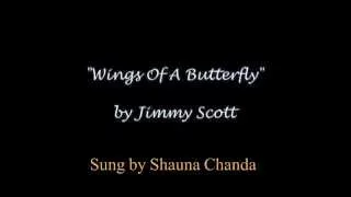 "Wings Of A Butterfly" Beautiful song for lost loved ones, female vocal w/lyrics