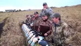 King Eider hunting Outfitters in Alaska - Aleutian Island Waterfowlers