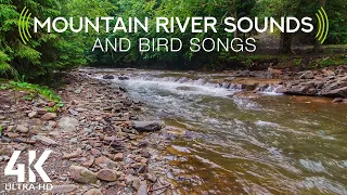 8 HOURS of Mountain River White Noise and Bird Songs for Stress Relief - Carpathian Mountains