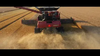 2020 Wheat Harvest in Illinois, Case IH 8250's in action on Duis Farms