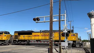*New E-Bell* UP 8516 Z-Train Intermodal w/ Mid-DPU South - E. Locust St. Railroad Crossing, Lodi CA