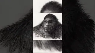 Eyewitness Drawings of Bigfoot #short #shorts #bigfoot #conspiracy
