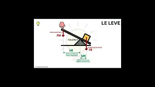 La fisica del sollevamento pesi e delle leve