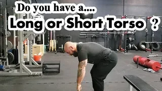 Do You Have Good Squatting Leverages? How to Find Your Limb to Torso Ratio