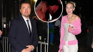 Leonardo DiCaprio and GiGI's Hadid's relationship #hollywood #leonardodicaprio  #gigihadid