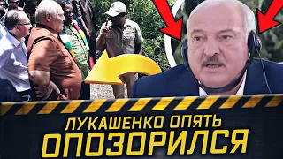 Бармалей Лукашенко, идиот Азарёнок, кунсткамера в комиссии по возвращению уехавших и Зимбабве