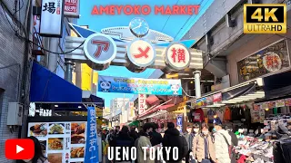 Walk Through Tokyo's Ueno Ameyoko Market and Discover What You're Missing...In 4K!
