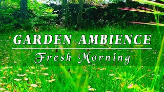 Healing Nature Meditation 🌳 GARDEN AMBIENCE 🌿 Relaxing Spring Sounds on a Lovely Sunny Morning #2