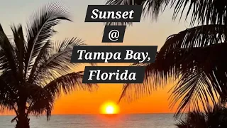 Sunset Walk @ Tampa Bay, Florida...
