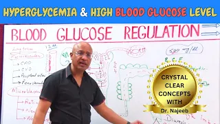 Complications of Hyperglycemia | High Blood Glucose Level 🩸