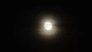 FULL MOON TRANSYLVANIA