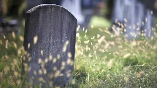 What Happens To Your Body After 50 Years In A Coffin